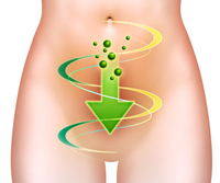 Resultado de imagen para transito intestinal