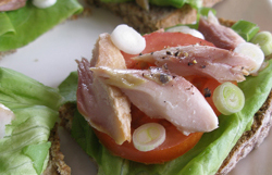 Ensalada de caballa con tomate