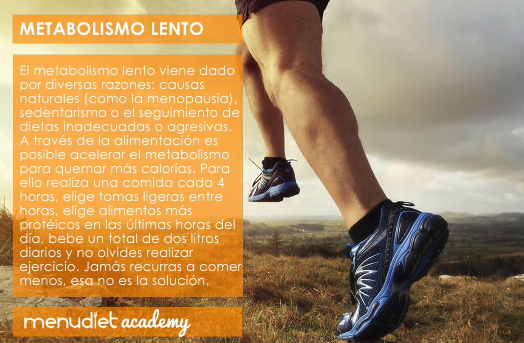 Metabolismo lento #menudietacademy