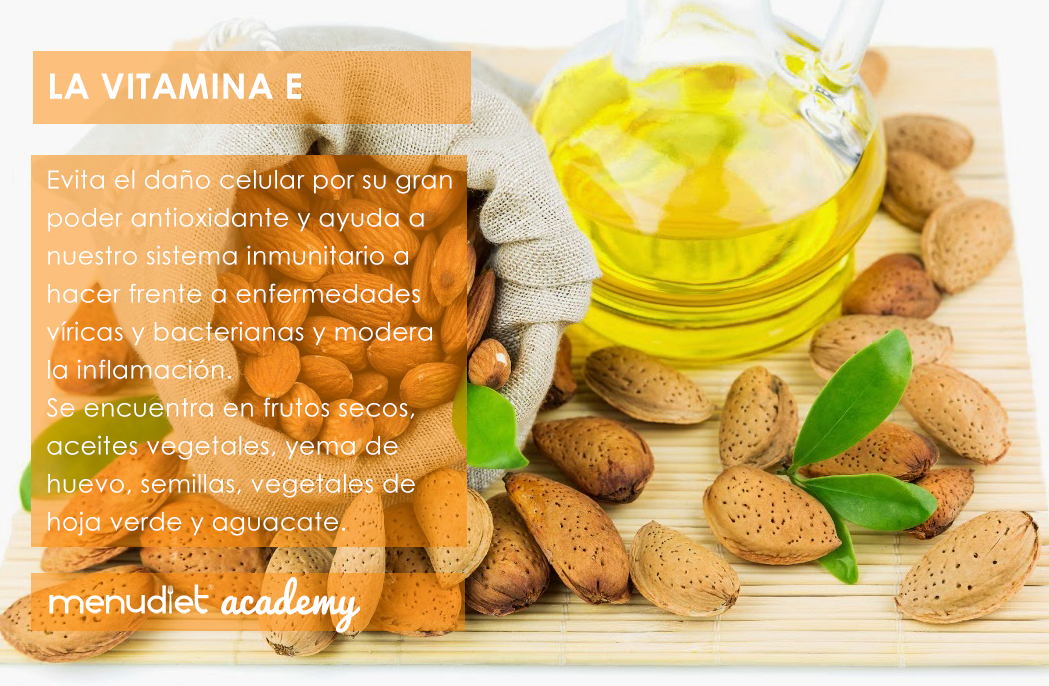 Vitamina E #menudietacademy