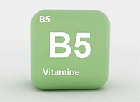 Vitamina B5 o ácido pantoténico